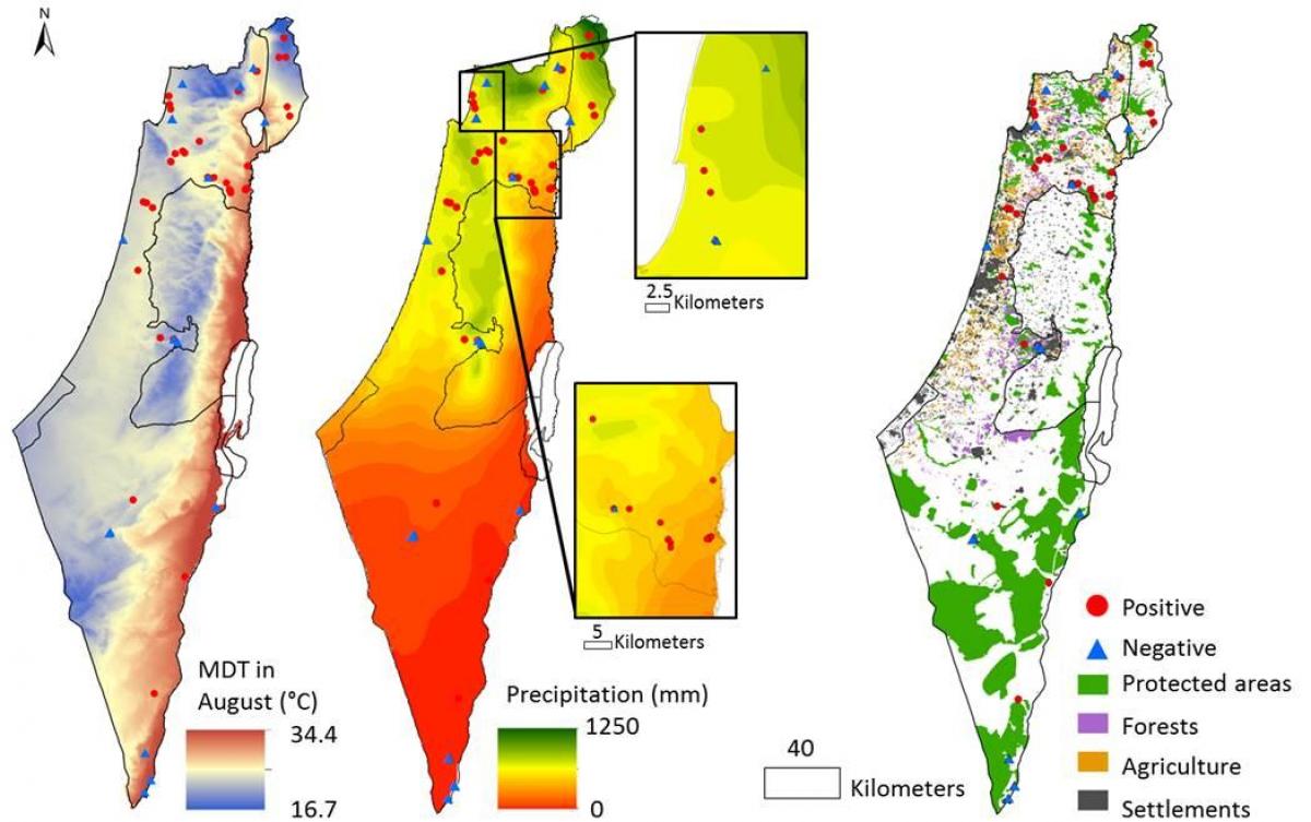mappa di israele clima